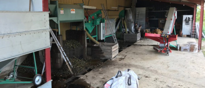 Chaîne de lavage et séchage - Noix AOC du Périgord - La Vie Contée Notre chaîne de lavage et séchage des noix