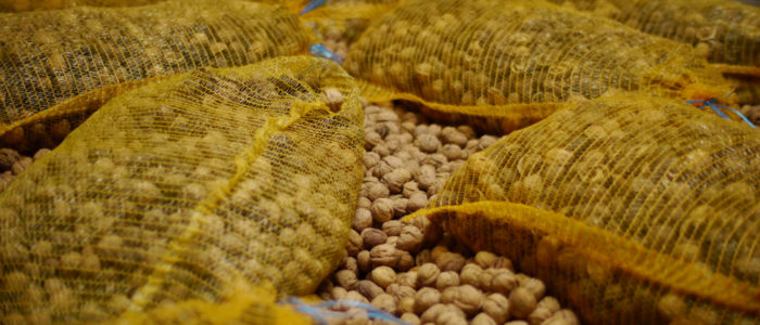 Séchage des noix-AOC - La Vie Contée - Photo Lucien Fort séchage des noix AOC du Périgord - © Lucien Fort